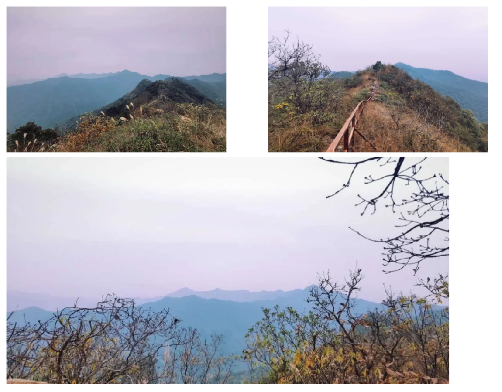 PA�콢��(�й���)�ٷ���վ-PlayAce