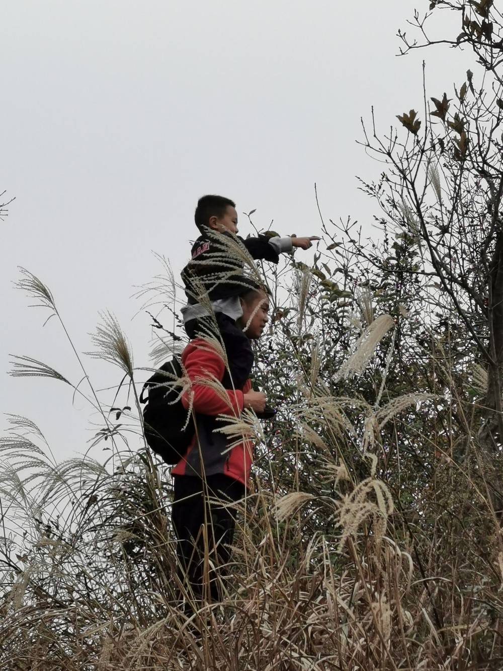 PA�콢��(�й���)�ٷ���վ-PlayAce