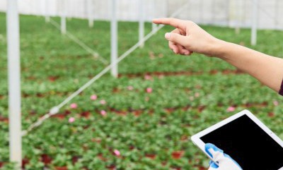 PA�콢��(�й���)�ٷ���վ-PlayAce