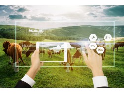 PA�콢��(�й���)�ٷ���վ-PlayAce