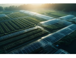 PA�콢��(�й���)�ٷ���վ-PlayAce