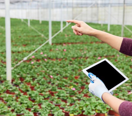 PA�콢��(�й���)�ٷ���վ-PlayAce